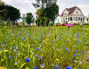 familie uitje Groningen